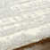 Rectangle Rameriz Abstract Machine Woven Polyester/Polypropylene Area Rug in Gray/Ivory