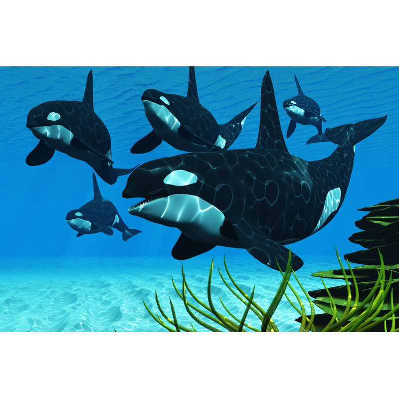 Ocean Killer Whales - Wrapped Canvas Print, 20cm H x 30cm W x 3.8cm D