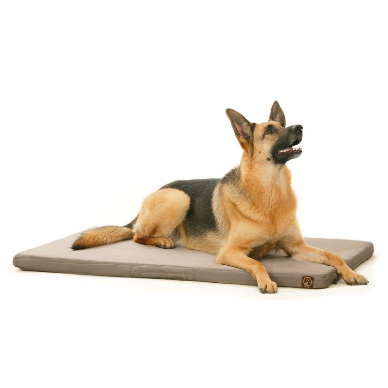 Tapis/coussin de caisse gonflable entrelacé, l 41 po x P 26 po x H 2 po