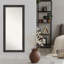 Miroir pleine grandeur sol Carrickfergus