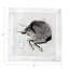 Square Napkins-1617992624