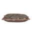 Oriental Bird Signature Butterfly Flange Accent Pillow