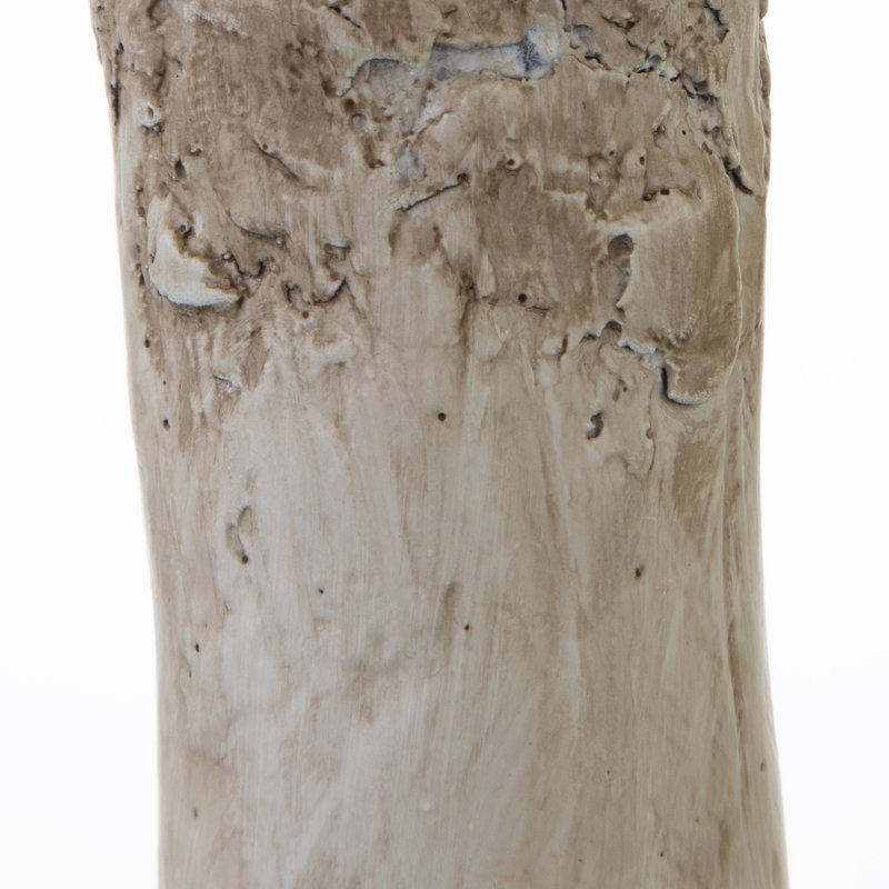 Ellsworth Resin Antler Table Lamp