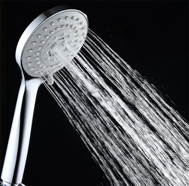 Esterbrooke Handheld Shower Head
