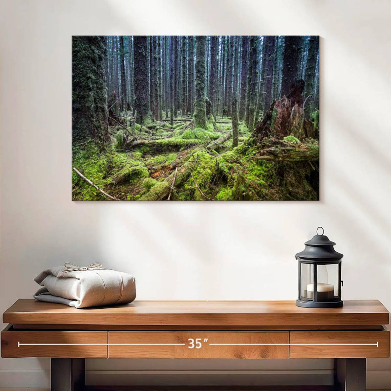 Forêt tropicale Alvord Mossy Hoh, H 16 po x l 24 po