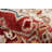 Nong Oriental Indoor Rug-26066062