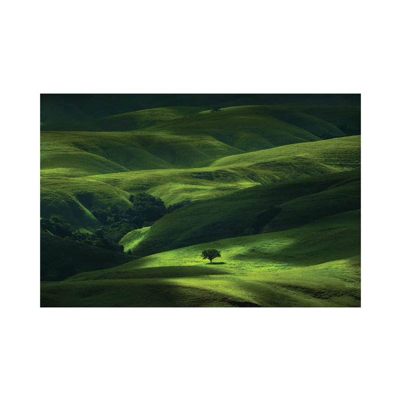Savana Mamboro by Helmi Rahmat S - Wrapped Canvas Print, 66.04 cm H x 45.72 cm W x 1.91 cm D