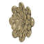 Plaque murale succulente D10x1,6 po