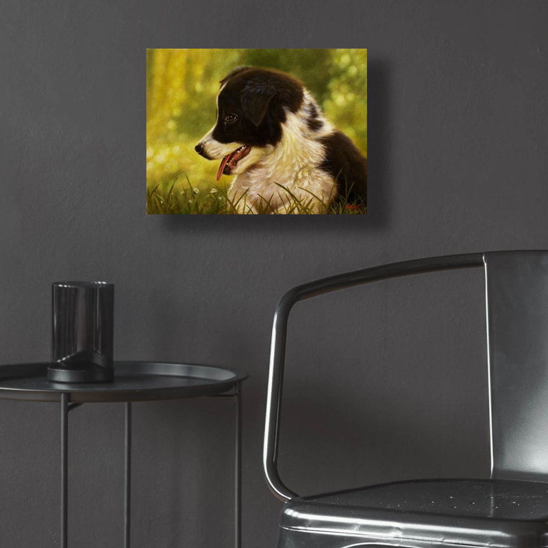 «Border Collie Garden» par John Silver, H 12 po x l 16 po x P 0,13 po