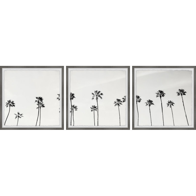 " B&W Coco Trees " 3 - Pieces, 18" H x 18" W