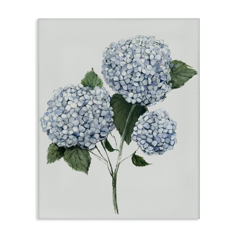 «Hydrangea Bulb Trio», art mural par Hannah Dawson, H 40 po x l 30 po