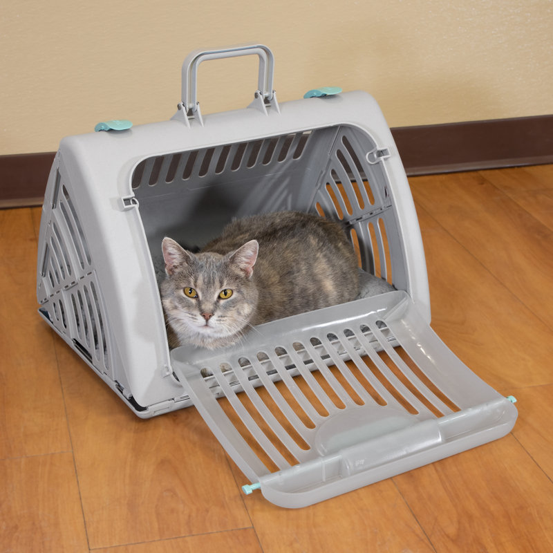 Small Gray Plastic Pet Carrier with Waterproof Bed