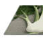  Tapis lavable en légumes Fenouil-203287675