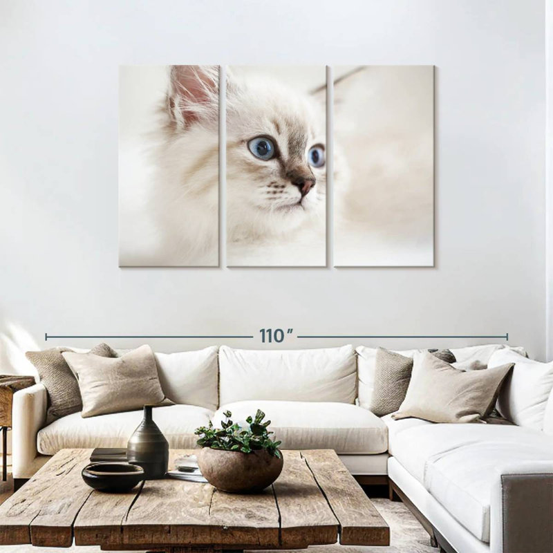 Brampt Neva Masquerade Cat, 48" H x 74" W