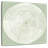 Avery Circles Of Life I