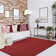 Neufeld Hand-Braided Indoor/Outdoor Burgundy Area Rug