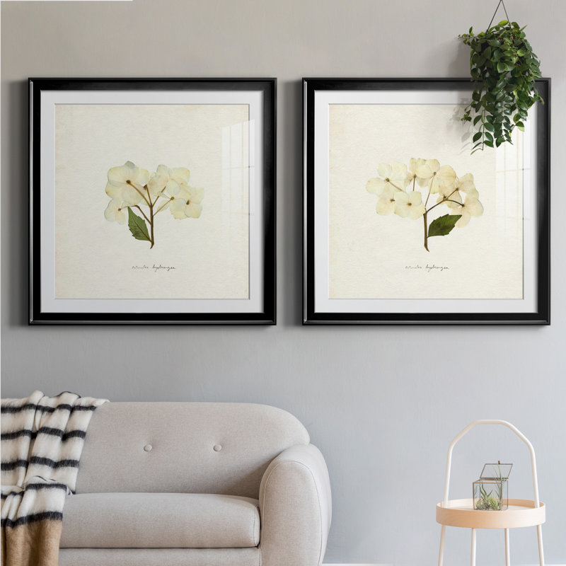" Cornales Hydrangea I " 2 - Pieces, 34.5" H x 69" W, Black, Framed Print with Mat