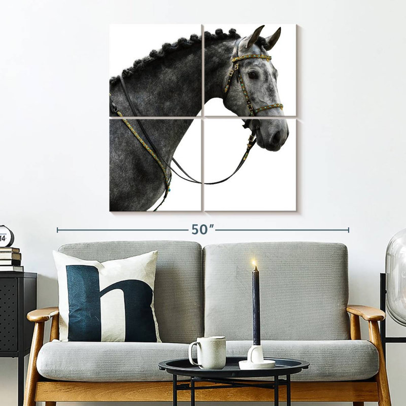 Cheval espagnol gris Brampt