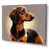 Toile tendue