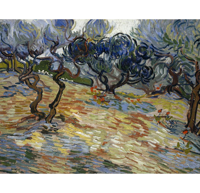"Olive Trees" by  Vincent Van Gogh - Gallery Wrap Canvas Wall Art