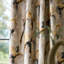 Water Iris Fabric-65424605