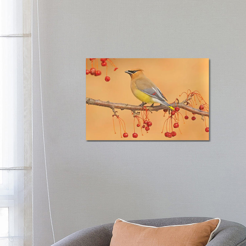 Picking Berries by Brian Wolf - Wrapped Canvas Print