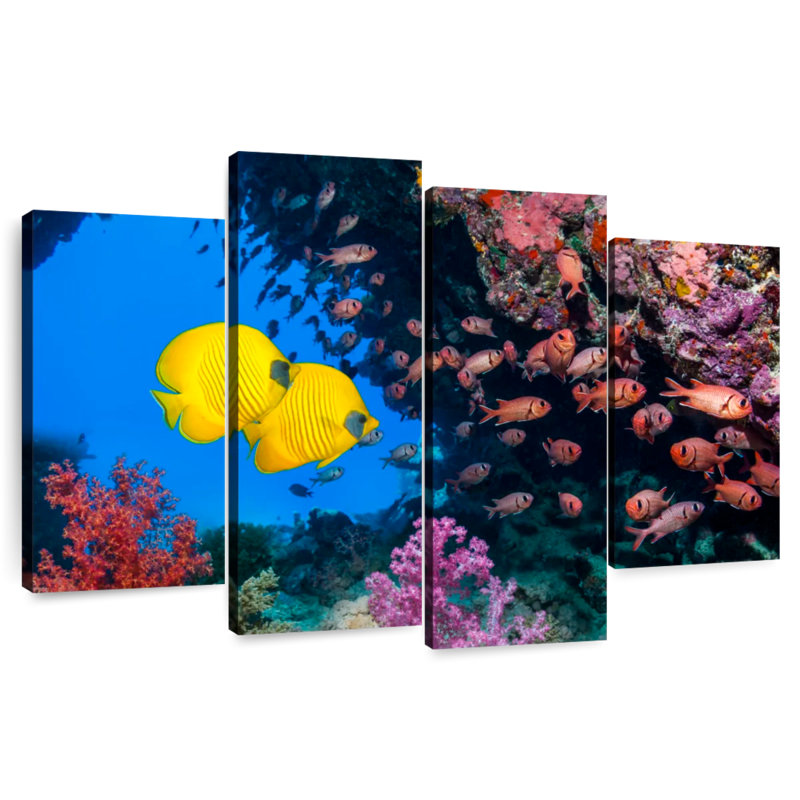 Aletra vibrant mer rouge sous l'eau, H 27 po x l 43 po