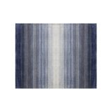 Area Rug in Blue