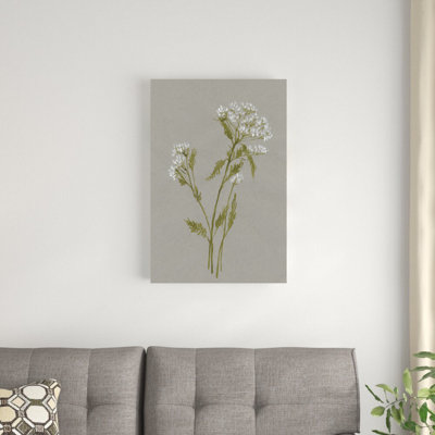Fleurs de champ blanc III