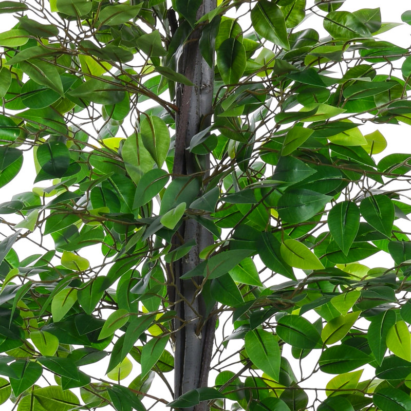 145cm Faux Banyan Tree in Cement Pot