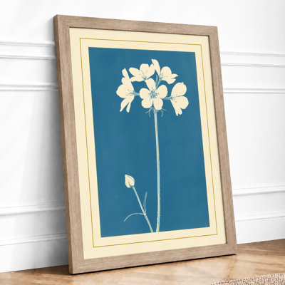 Single Bloom Botanical - Framed Print