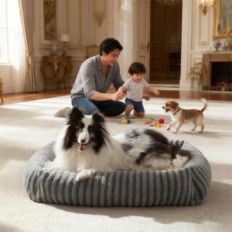 Pet Bed