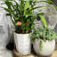 Dallas Esprit Indoor Ceramic Pottery Kit