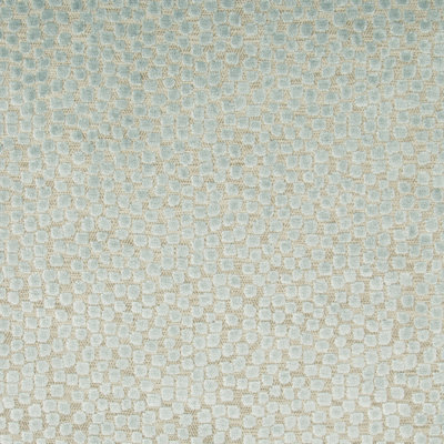 Thom Filicia Flurries Fabric