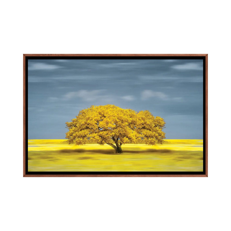 Lonely Yellow on the Field 1 Piece Floater Frame Wall Art on Canvas, 66.04 cm H x 45.72 cm W, Brown Floater Frame