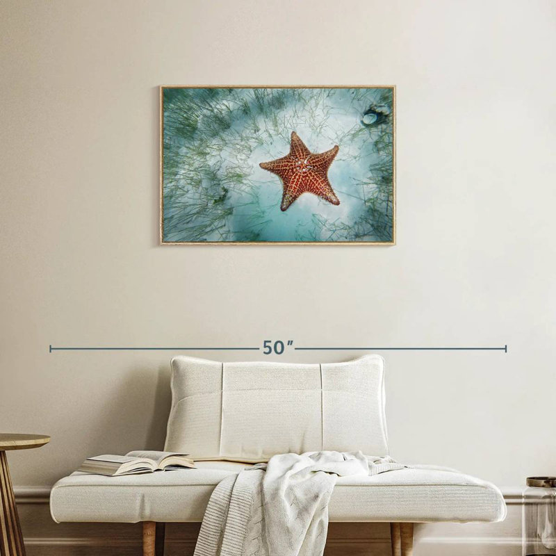 Étoile de mer peu profonde, Cadre flottant en bois naturel, 31 po x 21 po
