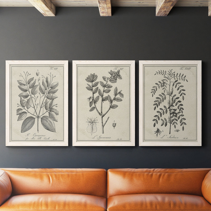 Antique Black and White Botanical VII - Ensemble de 3 reproductions d'art sur toile, H 41,5 po x l 94,5 po, Blanc