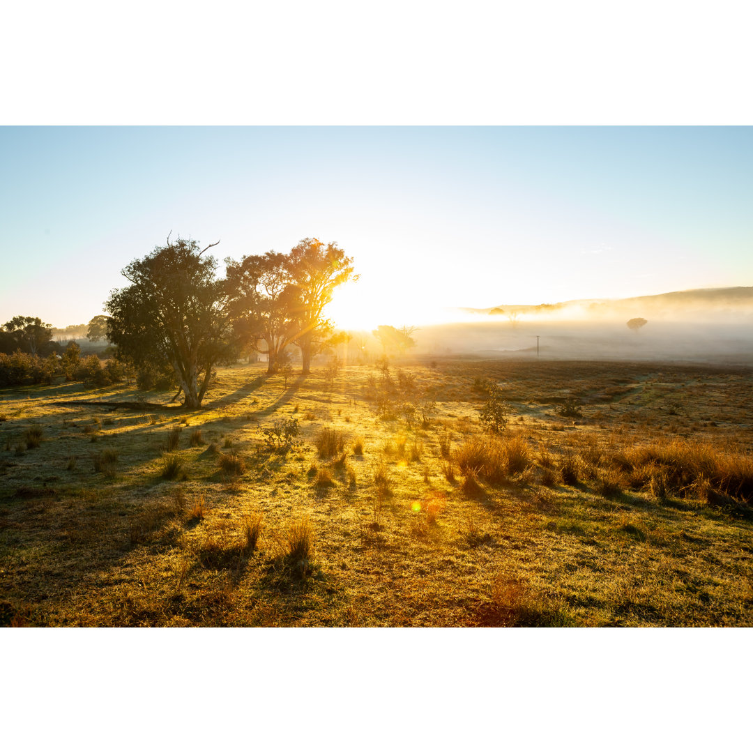 Ein Sonnenaufgang auf einem Feld von Burroblando - Drucken