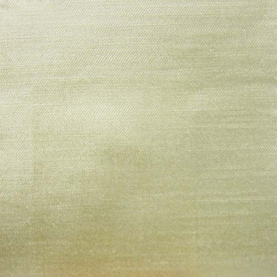 Textured Solid Velvet | Namur Fabric