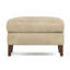 Harper Ottoman-1364245063