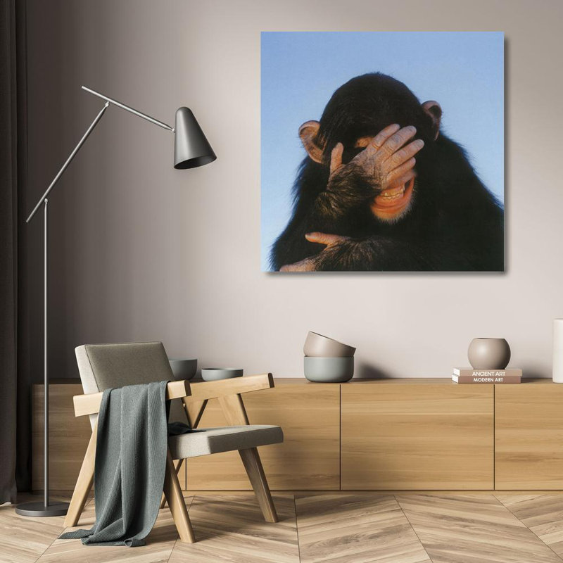 Chimpanzé embarrassé, H 20 po x l 20 po