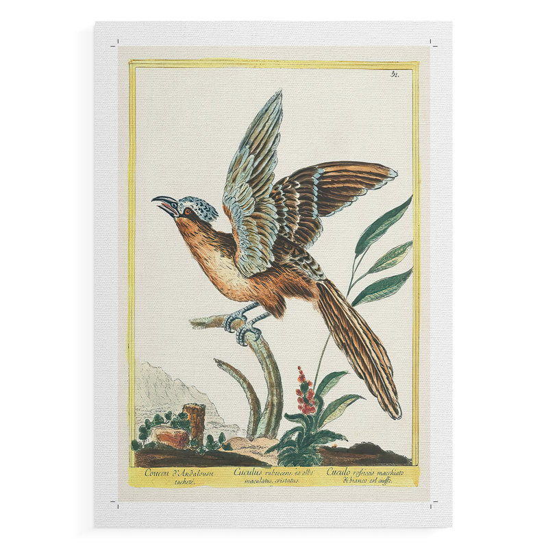 Pastel Birds IV - Impression sur toile seulement - NON CADRE, H 36 po x l 24 po