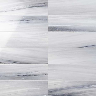 Everest 7.87 in. x 23.62 in. Glossy Ceramic Tile