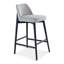 Tonia Bar/Counter Stool - Texan Burnish Guardian Seat - Domasco Frame-2057872552-2065357563