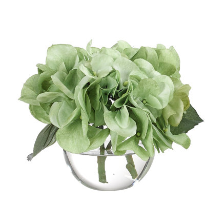 Hydrangea, Green, Glass Bubble, 8wx7dx6h