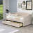 Dezden Twin Size 2 Drawers Upholstered Daybed-1980470439