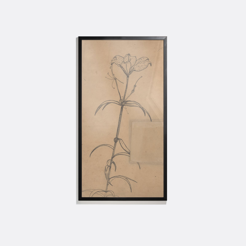 Tiger Lily Print by Richard Nicolaüs Roland Holst