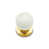 White / Polished Brass