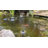 Solar Fountain Pump With Battery Backup