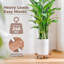 Wood Caddy Plant Stand